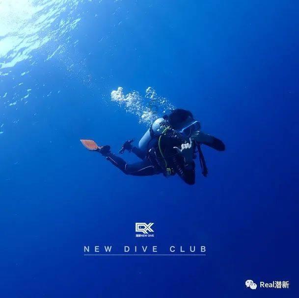 养猫养狗是有爱心的表现吗？游戏画面