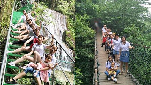 逃离橡子树种植地